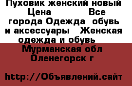 Пуховик женский новый › Цена ­ 2 600 - Все города Одежда, обувь и аксессуары » Женская одежда и обувь   . Мурманская обл.,Оленегорск г.